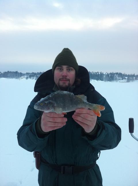 Abborre, 540g, Hans Sandberg, 2011-01-04, Hanine
