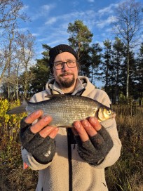 Vimma, 420g, Hans Sandberg, 2025-11-01, Älvkarleby , fiskemetod: Bottenmete
