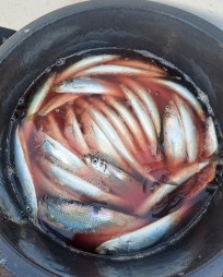 Strömming, 235g, Thomas Lysell, 2025-11-15, Landskrona , fiskemetod: Spinnfiske