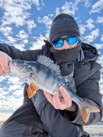 Abborre, 520g, Morris Boije Hammarsson, 2026-02-28, Sveg, fiskemetod: Pimpel