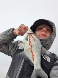 Braxen, 420g, Morris Boije Hammarsson, 2026-03-28, Trosa, fiskemetod: Spinnfiske