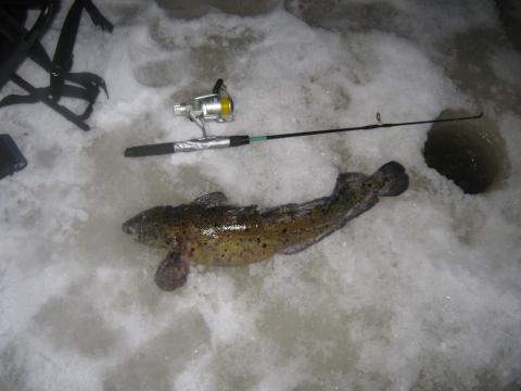 Lake, 3300g, Jan Sontag, 2011-01-15, Nynäshamn