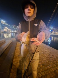 Torsk, 500g, Morris Boije Hammarsson, 2026-04-23, Malmö , fiskemetod: Spinnfiske