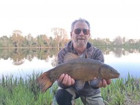 Sutare, 2245g, Thomas Lysell, 2026-05-01, Rögle dammar , fiskemetod: Bottenmete