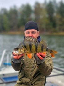Abborre, 990g, Patrik Nordin, 2026-05-13, Nynäshamn, fiskemetod: Spinnfiske