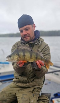 Abborre, 800g, Patrik Nordin, 2026-05-13, Nynäshamn, fiskemetod: Spinnfiske