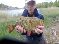 Sarv, 1050g, Tommy Söderström, 2026-05-25, Nynäshamn , fiskemetod: Bottenmete