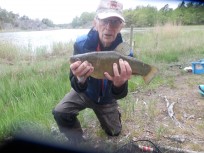 Sutare, 1700g, Tommy Söderström, 2026-05-25, Nynäshamn , fiskemetod: Bottenmete