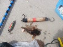 Rötsimpa, 50g, Tommy Söderström, 2026-05-28, Nynäshamn , fiskemetod: Bottenmete