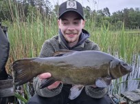 Sutare, 1068g, Arwidh Nyberg, 2026-06-09, Haninge, fiskemetod: Flötmete