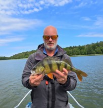 Abborre, 860g, Thomas  Clerwall, 2026-06-13, Nynäshamn , fiskemetod: Spinnfiske