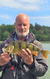 Abborre, 1200g, Thomas  Clerwall, 2026-06-13, Nynäshamn , fiskemetod: Spinnfiske