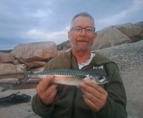 Makrill, 490g, Thomas Lysell, 2026-06-19, Sotenäs , fiskemetod: Spinnfiske