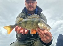 Abborre, 1090g, Patrik Nordin, 2026-07-22, Nynäshamn, fiskemetod: Spinnfiske