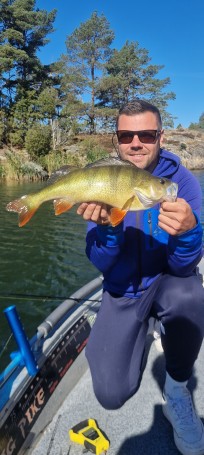 Abborre, 1355g, Patrik Nordin, 2026-08-12, Nynäshamn, fiskemetod: Spinnfiske
