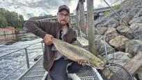 Lax, 7000g, Hans Sandberg, 2026-09-09, Timrå, fiskemetod: Spinnfiske