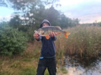 Abborre, 1450g, Oliver Minciel, 2026-09-23, Haninge, fiskemetod: Spinnfiske