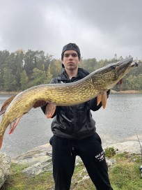 Gädda, 7550g, Vincent Minciel, 2026-10-11, Haninge, fiskemetod: Spinnfiske