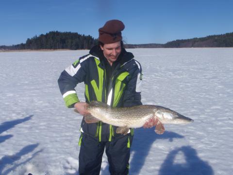 Gädda, 7700g, Anders Eneborg, 2011-03-12, nynäshamn