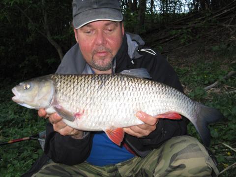 Färna, 2557g, Ulf Ahlinder, 2011-05-10, Enköping