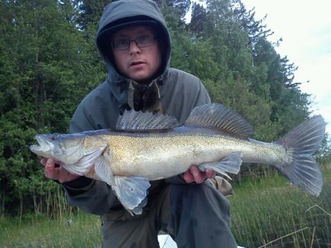 Gös, 3780g, Christoffer Thunman, 2011-05-29, nynäshamn