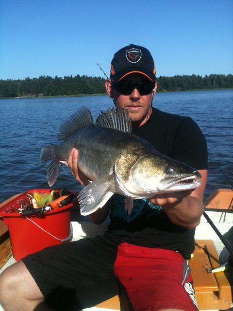 Gös, 6460g, Jonas Berglind, 2011-06-29, ny