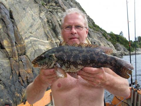 Berggylta, 1150g, Stefan Engblom, 2011-07-21, Lysekil