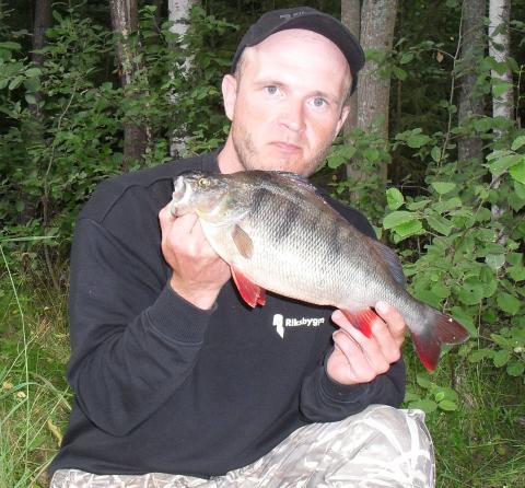 Abborre, 1280g, Grzegorz Kubicki, 2011-07-22, Bollnäs