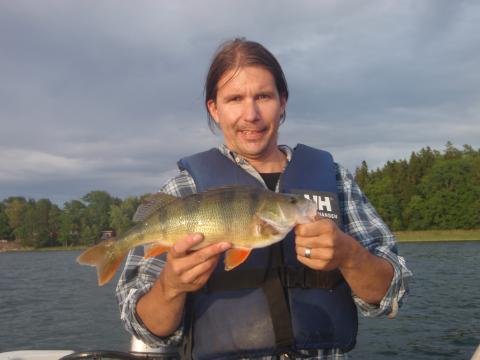 Abborre, 930g, Anders Eneborg, 2011-08-09, nynäshamn