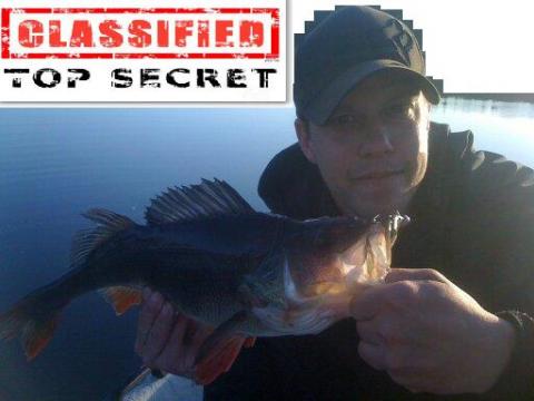 Abborre, 920g, Nils Björkqvist, 2011-08-28, Haninge