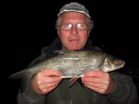 Vimma, 1064g, Stefan Engblom, 2011-09-16, Älvkarleby