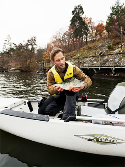 Abborre, 1200g, Staffan Jorup, 2011-11-05, Stockholm