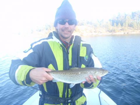 Havsöring, 775g, Anders Eneborg, 2012-04-14, nynäshamn