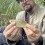 Sarv, 54g, Hans Sandberg, 2025-08-12, Nynäshamn , fiskemetod: Flötmete