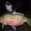 Karp, 17900g, Arwidh Nyberg, 2026-09-10, Växsjö
